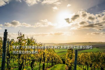 啤酒廠中發(fā)酵罐目前都如何來確定發(fā)酵度用實驗室儀器檢測還是在線儀器檢