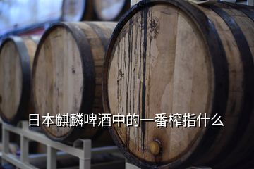 日本麒麟啤酒中的一番榨指什么