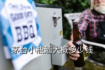 茅臺(tái)小瓶酒大概多少錢