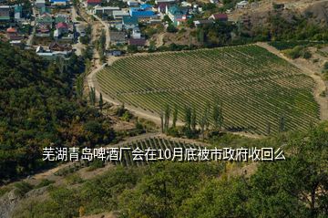 蕪湖青島啤酒廠會(huì)在10月底被市政府收回么