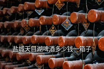 鹽城天目湖啤酒多少錢一箱子