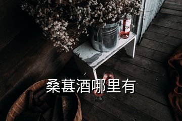 桑葚酒哪里有