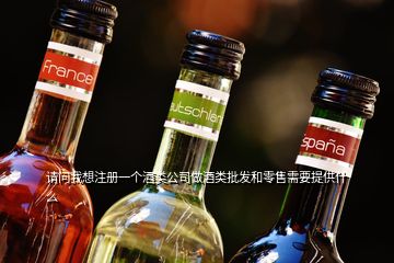 請問我想注冊一個酒類公司做酒類批發(fā)和零售需要提供什么