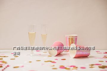 廣西有唐三鏡酒械的分公司唐三鏡釀酒設備公司在哪里啊