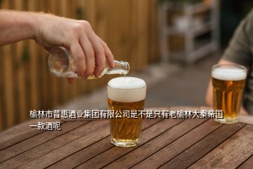 榆林市普惠酒業(yè)集團(tuán)有限公司是不是只有老榆林大秦帝國(guó)一款酒呢