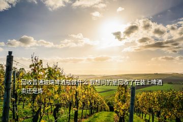 回收普通玻璃啤酒瓶做什么 我想問的是回收了在裝上啤酒賣還是煉