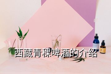 西藏青稞啤酒的介紹