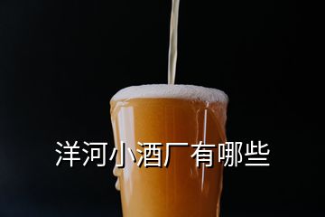 洋河小酒廠有哪些