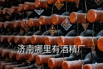 濟南哪里有酒精廠