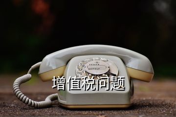 增值稅問(wèn)題