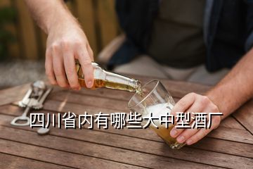 四川省內(nèi)有哪些大中型酒廠