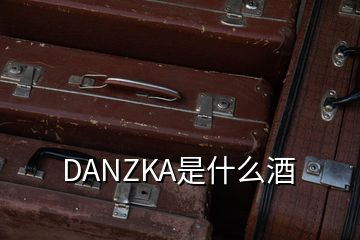 DANZKA是什么酒