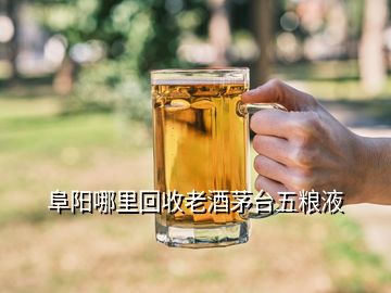 阜陽哪里回收老酒茅臺(tái)五糧液