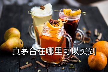 真茅臺在哪里可以買到