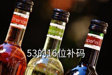 53的16位補(bǔ)碼