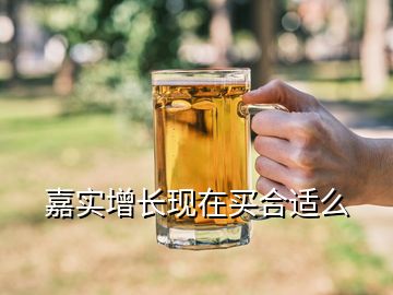 嘉實增長現(xiàn)在買合適么