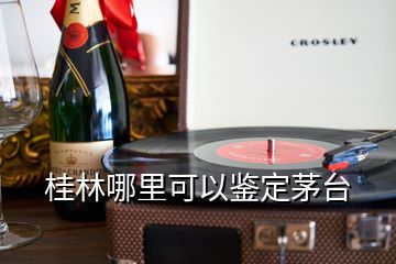 桂林哪里可以鑒定茅臺