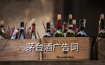 茅臺(tái)酒廣告詞