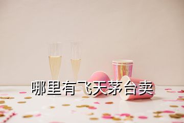 哪里有飛天茅臺(tái)賣