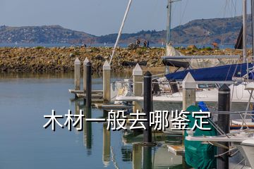 木材一般去哪鑒定