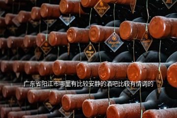 廣東省陽江市哪里有比較安靜的酒吧比較有情調(diào)的