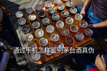 通過手機(jī)怎樣鑒別茅臺酒真?zhèn)?></p>
<h2 id=