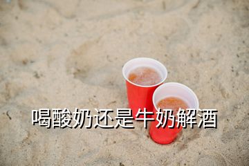 喝酸奶還是牛奶解酒