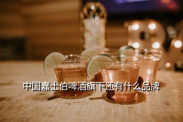 中國嘉士伯啤酒旗下還有什么品牌