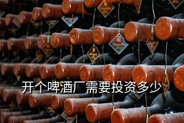 開個(gè)啤酒廠需要投資多少