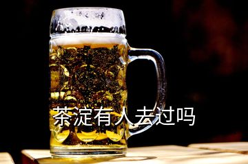 茶淀有人去過嗎