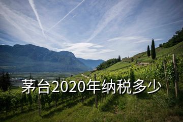 茅臺(tái)2020年納稅多少