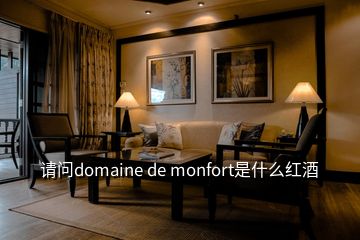 請(qǐng)問(wèn)domaine de monfort是什么紅酒