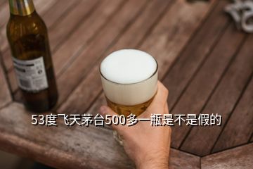 53度飛天茅臺(tái)500多一瓶是不是假的