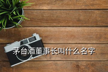 茅臺(tái)酒董事長叫什么名字