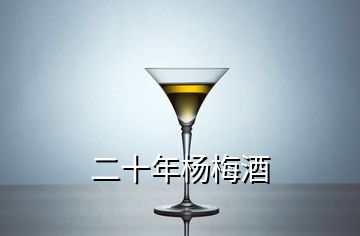 二十年楊梅酒