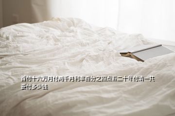 首付十六萬月付兩千月利率百分之四點(diǎn)五二十年付清一共要付多少錢