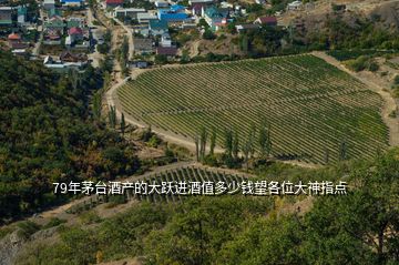 79年茅臺酒產的大躍進酒值多少錢望各位大神指點