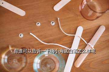 有誰(shuí)可以告訴一下嗨小海這白酒怎么樣呢