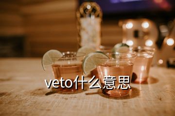 veto什么意思