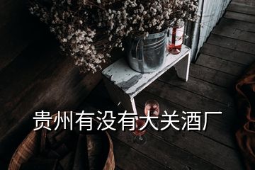 貴州有沒(méi)有大關(guān)酒廠