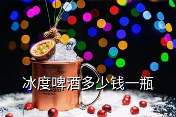 冰度啤酒多少錢一瓶