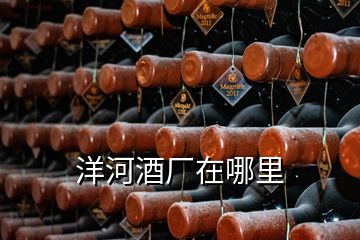 洋河酒廠(chǎng)在哪里