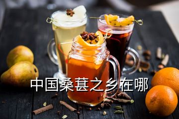 中國桑葚之鄉(xiāng)在哪