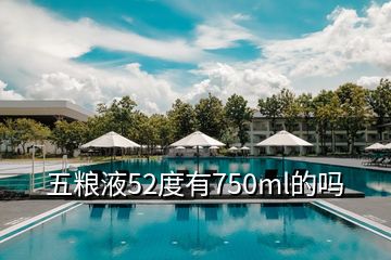 五糧液52度有750ml的嗎