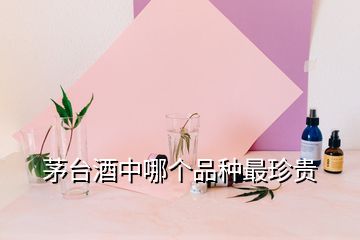 茅臺(tái)酒中哪個(gè)品種最珍貴