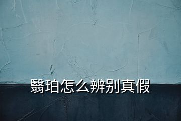 翳珀怎么辨別真假