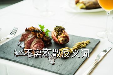 不離不散反義詞