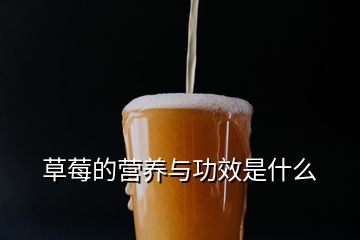 草莓的營(yíng)養(yǎng)與功效是什么