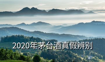 2020年茅臺(tái)酒真假辨別