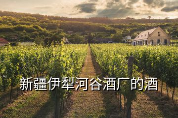 新疆伊犁河谷酒廠的酒